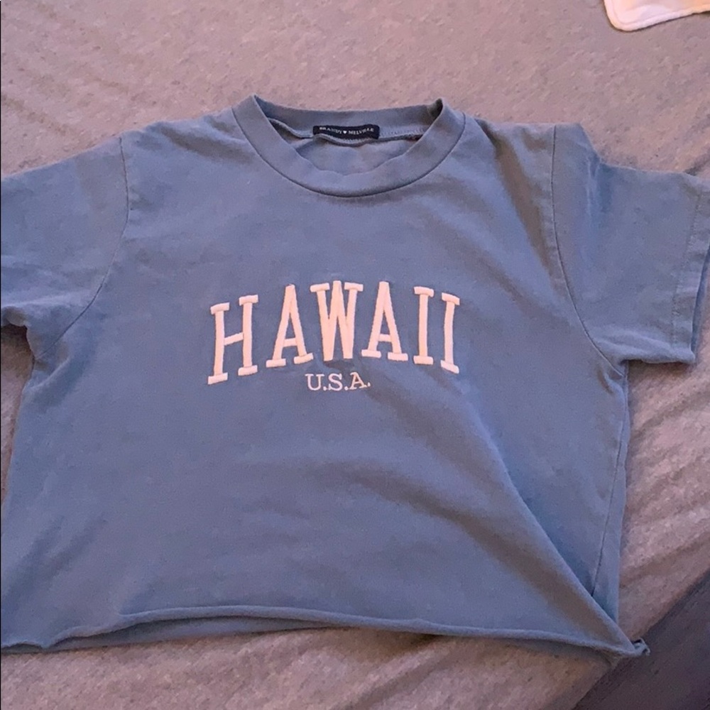 brandy melville hawaii crop tshirt